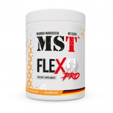 MST FleX Pro 420 грамм (strawberry)