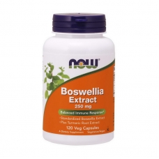 Босвелия NOW Boswellia Extract 250 mg 120 veg капсул