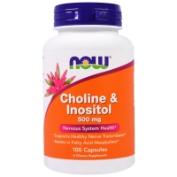 Now Choline & Inositol 500 mg 100 капсул